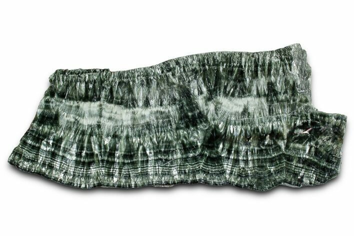 Polished Seraphinite Slab - Korshunovkiy Mine, Siberia #354234